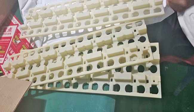 1697169493484025.jpg 25.jpg